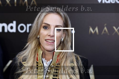 Amsterdam 15 april 2024
Premiere serie Maxima van Videoland in Tuschinski. Aanwezig oa Delfina Chaves en Martijn Lakemeier . Bob Sikkens en Roos Reedijk