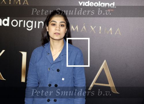 Amsterdam 15 april 2024
Premiere serie Maxima van Videoland in Tuschinski. Aanwezig oa Delfina Chaves en Martijn Lakemeier . Soumaya Ahaouaoui