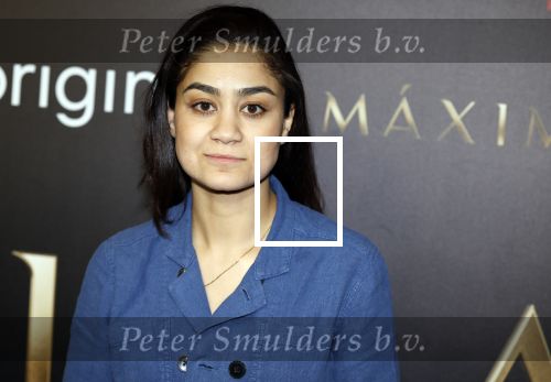 Amsterdam 15 april 2024
Premiere serie Maxima van Videoland in Tuschinski. Aanwezig oa Delfina Chaves en Martijn Lakemeier . Soumaya Ahaouaoui