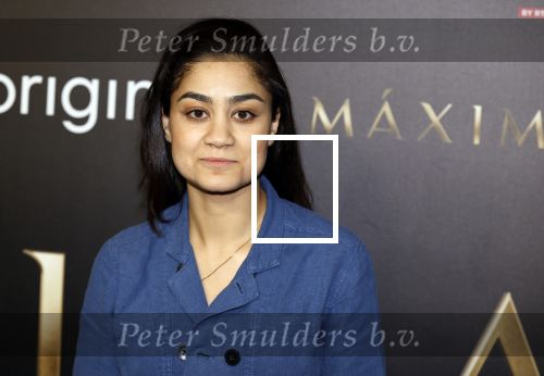 Amsterdam 15 april 2024
Premiere serie Maxima van Videoland in Tuschinski. Aanwezig oa Delfina Chaves en Martijn Lakemeier . Soumaya Ahaouaoui