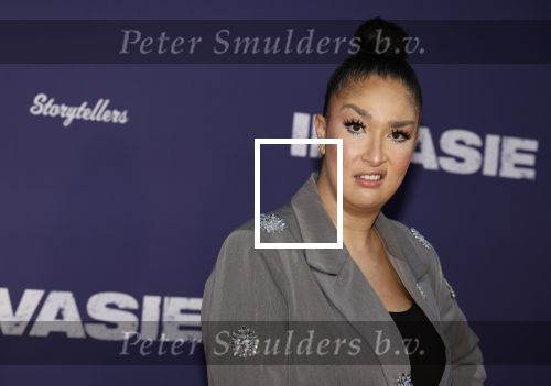 Amsterdam 8 april 2024
Premiere Invasie in Pathe Arena met oa Tarikh Jansen Ortal Vriend Raymond Thiry Gijs Scholten v Aschat Jasha Rudge Gijs Blom Fedja v Huet . Bobby Boermans is de regisseur. Soundos