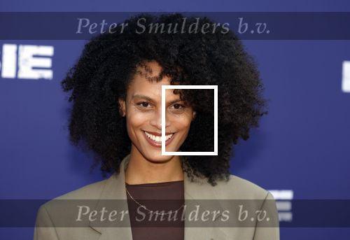 Amsterdam 8 april 2024
Premiere Invasie in Pathe Arena met oa Tarikh Jansen Ortal Vriend Raymond Thiry Gijs Scholten v Aschat Jasha Rudge Gijs Blom Fedja v Huet . Bobby Boermans is de regisseur. Tarikh Janssen zijn zus