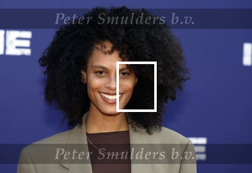Amsterdam 8 april 2024
Premiere Invasie in Pathe Arena met oa Tarikh Jansen Ortal Vriend Raymond Thiry Gijs Scholten v Aschat Jasha Rudge Gijs Blom Fedja v Huet . Bobby Boermans is de regisseur. Tarikh Janssen zijn zus