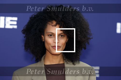 Amsterdam 8 april 2024
Premiere Invasie in Pathe Arena met oa Tarikh Jansen Ortal Vriend Raymond Thiry Gijs Scholten v Aschat Jasha Rudge Gijs Blom Fedja v Huet . Bobby Boermans is de regisseur. Tarikh Janssen zijn zus