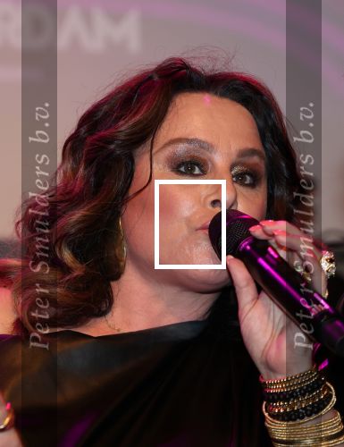 Amsterdam, 2 April 2024
Voorstelling Ladies of Soul
Trijntje Oosterhuis