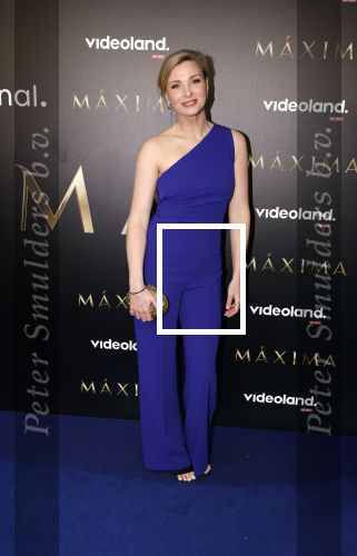 Amsterdam 15 april 2024
Premiere serie Maxima van Videoland in Tuschinski. Aanwezig oa Delfina Chaves en Martijn Lakemeier .
Welmoed Sijtsma met partner
