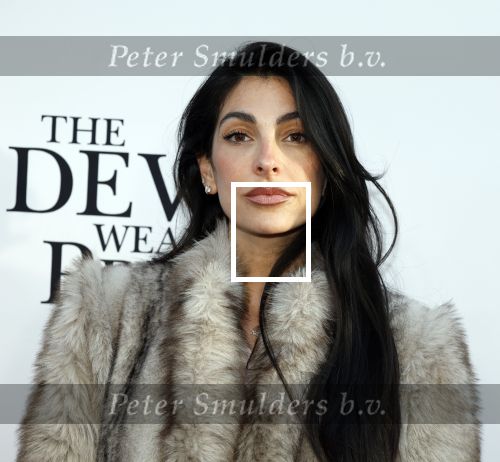 Amsterdam 28 april 2026
Premiere The Devil wears Prada 2 in Tuschinski . Anna Nooshin