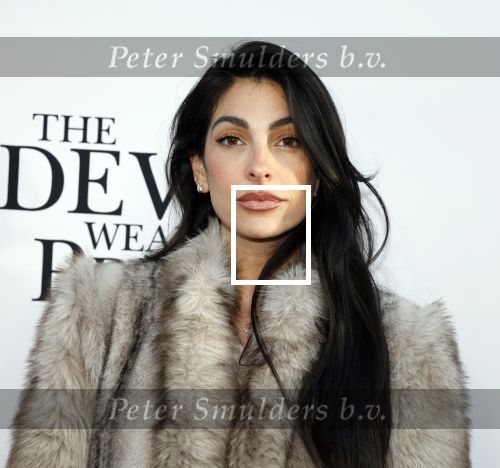 Amsterdam 28 april 2026
Premiere The Devil wears Prada 2 in Tuschinski . Anna Nooshin