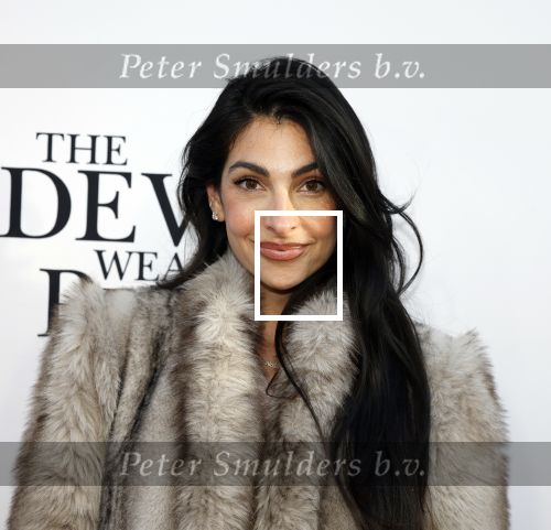 Amsterdam 28 april 2026
Premiere The Devil wears Prada 2 in Tuschinski . Anna Nooshin