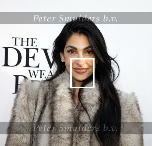 Amsterdam 28 april 2026
Premiere The Devil wears Prada 2 in Tuschinski . Anna Nooshin