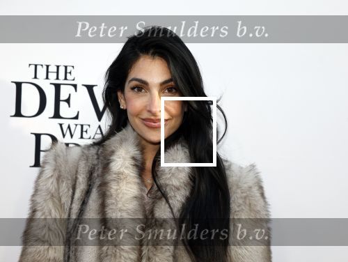 Amsterdam 28 april 2026
Premiere The Devil wears Prada 2 in Tuschinski . Anna Nooshin