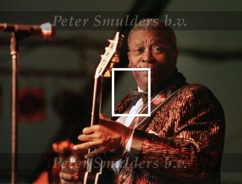 BB King in concert
fptp bestemd voor Henk Langerak