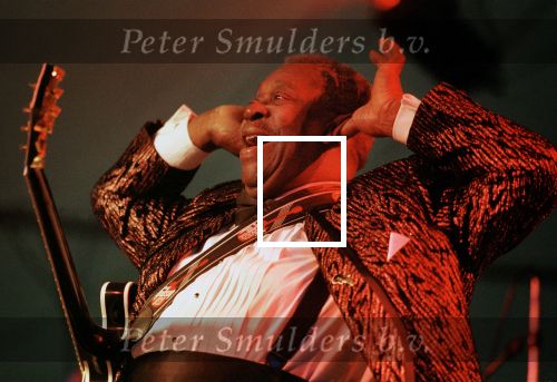 Optreden BB KING in duitsland
Foto bestemd voor pag. 2 Vuurwerk, Henk Langerak