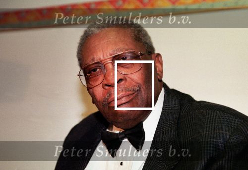 BB  King in Duitsland
Foto bestemd voor pag. 2 Vuurwerk, Henk Langerak