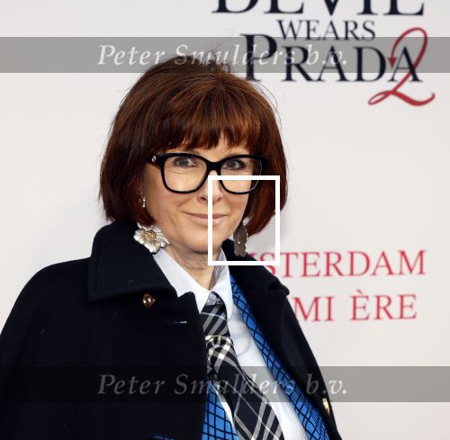Amsterdam 28 april 2026
Premiere The Devil wears Prada 2 in Tuschinski . Chazia Mourali kwam met haar dochter