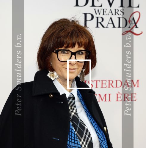 Amsterdam 28 april 2026
Premiere The Devil wears Prada 2 in Tuschinski . Chazia Mourali kwam met haar dochter