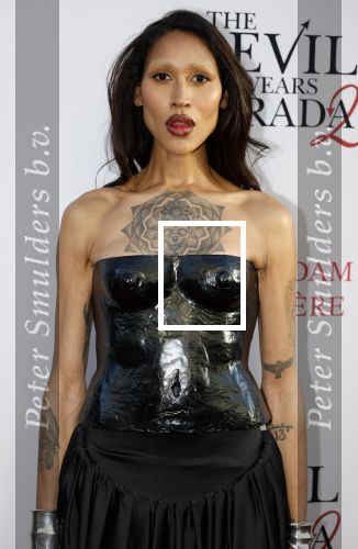 Amsterdam 28 april 2026
Premiere The Devil wears Prada 2 in Tuschinski . Gia Bab