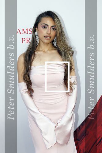Amsterdam 28 april 2026
Premiere The Devil wears Prada 2 in Tuschinski . Kashin Aziz