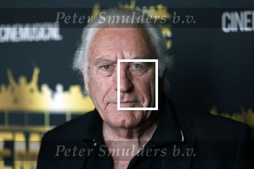 Zaandam 24 april 2026
Willeke v Ammelrooy heeft een koninklijke ondersceiding (linte) gekregen . Rene Mioch organiseert een fotomoment in het Zaantheater . Marco Bakker was er natuurlijk ook bij .