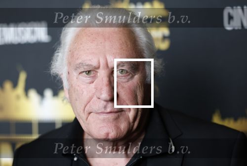 Zaandam 24 april 2026
Willeke v Ammelrooy heeft een koninklijke ondersceiding (linte) gekregen . Rene Mioch organiseert een fotomoment in het Zaantheater . Marco Bakker was er natuurlijk ook bij .