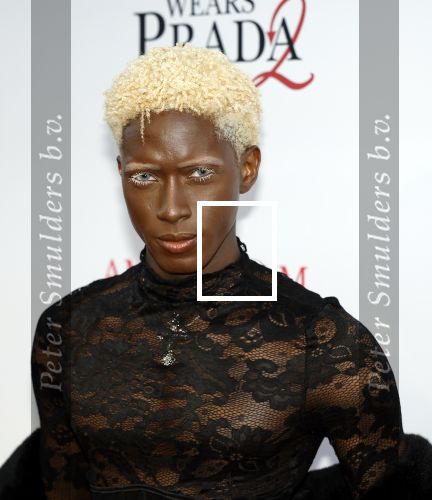 Amsterdam 28 april 2026
Premiere The Devil wears Prada 2 in Tuschinski . Melbury Badejo