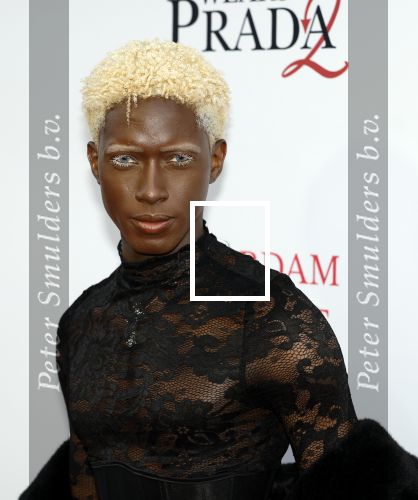 Amsterdam 28 april 2026
Premiere The Devil wears Prada 2 in Tuschinski . Melbury Badejo