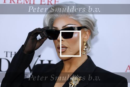 Amsterdam 28 april 2026
Premiere The Devil wears Prada 2 in Tuschinski . Miss Envy PPeru kwam met partner