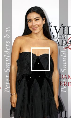 Amsterdam 28 april 2026
Premiere The Devil wears Prada 2 in Tuschinski . Moise Trustfull