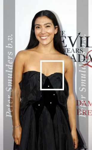 Amsterdam 28 april 2026
Premiere The Devil wears Prada 2 in Tuschinski . Moise Trustfull