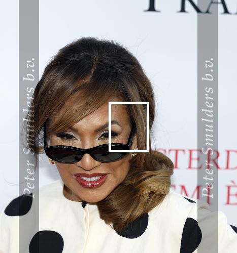 Amsterdam 28 april 2026
Premiere The Devil wears Prada 2 in Tuschinski . Patty Brard