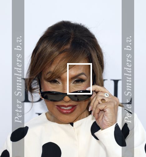 Amsterdam 28 april 2026
Premiere The Devil wears Prada 2 in Tuschinski . Patty Brard