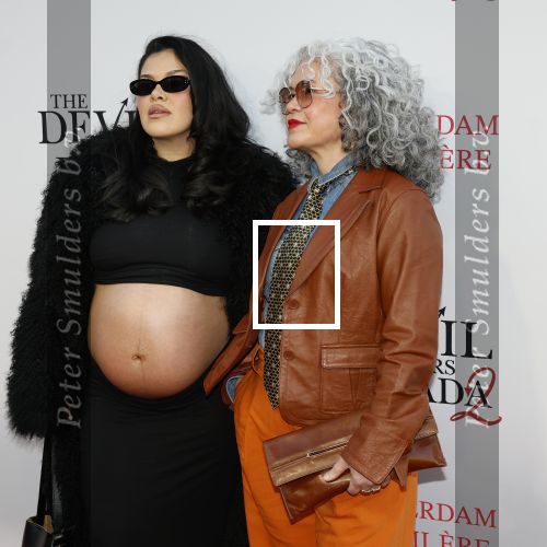 Amsterdam 28 april 2026
Premiere The Devil wears Prada 2 in Tuschinski .