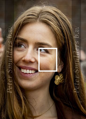 Dokkum 27 april 2026
Koningsdag is dit jaar in Dokkum . Namens de koninklijke familie zijn aanwezig : Koning Willem Alexander Koningin Maxima Prinses Amalia Prinses Alexia Prinses Ariane Prins Constantijn Prinses Laurentien Prins Maurits Prinses Marilene Prins Bernhard Prins Floris Prinses Aimee Prins Pieter Christiaan en Prinses Anita .
