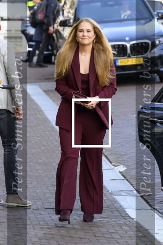 AMSTERDAM 16 en 17 april 2026
Prinses Amalia brengt op uitnodiging van burgemeester Halsema een bezoek aan Amsterdam.Bezoek aan het nachtleven Bar San Francisco en  Club Nachbar  De Prinses maakt tijdens het tweedaagse bezoek nader kennis met diverse sectoren en wordt bijgepraat over actuele onderwerpen als wetenschap, sport, cultuur, wonen en sociale verbondenheid. Ook loopt ze een avond met de politie van Amsterdam mee.