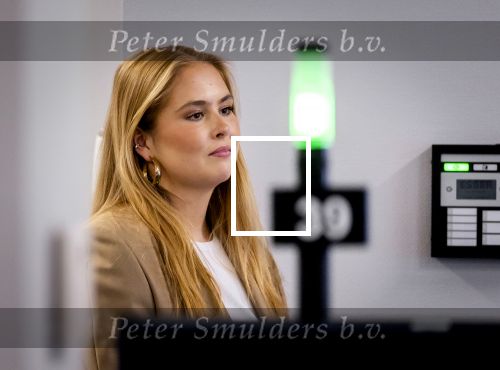 AMSTERDAM 16 en 17 april 2026
Prinses Amalia brengt op uitnodiging van burgemeester Halsema een bezoek aan Amsterdam.Bezoek aan het nachtleven Bar San Francisco en  Club Nachbar  De Prinses maakt tijdens het tweedaagse bezoek nader kennis met diverse sectoren en wordt bijgepraat over actuele onderwerpen als wetenschap, sport, cultuur, wonen en sociale verbondenheid. Ook loopt ze een avond met de politie van Amsterdam mee.