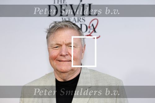 Amsterdam 28 april 2026
Premiere The Devil wears Prada 2 in Tuschinski . Renee Mioch