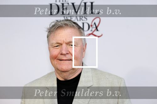 Amsterdam 28 april 2026
Premiere The Devil wears Prada 2 in Tuschinski . Renee Mioch