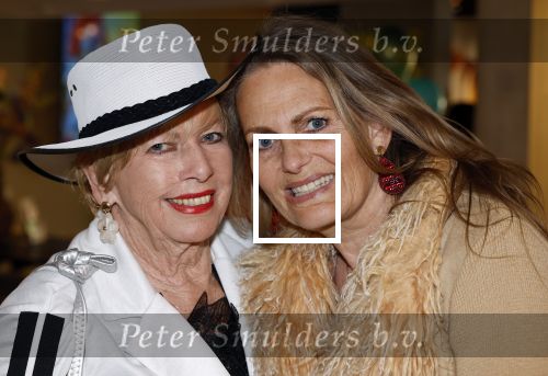 Laren 23 april 2026
Boekpresentatie Tineke de Nooij in het Rosa Spierhuys. Jan Slagter reikt het eerste exemplaar uit. Ria Valk kwam met vriend en dochter Monique