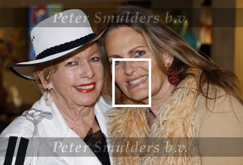 Laren 23 april 2026
Boekpresentatie Tineke de Nooij in het Rosa Spierhuys. Jan Slagter reikt het eerste exemplaar uit. Ria Valk kwam met vriend en dochter Monique