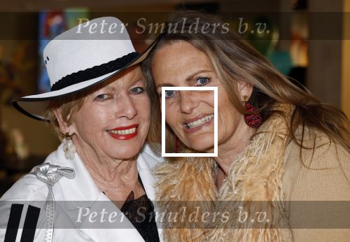 Laren 23 april 2026
Boekpresentatie Tineke de Nooij in het Rosa Spierhuys. Jan Slagter reikt het eerste exemplaar uit. Ria Valk kwam met vriend en dochter Monique
