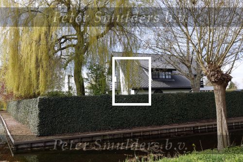 Vinkeveen 1 april 2026
Ik Vinkeveen wonen meerdere volkszangers / zangers . Oa Frank v Etten Robert Leroy Tino Martin en Yves Berendse