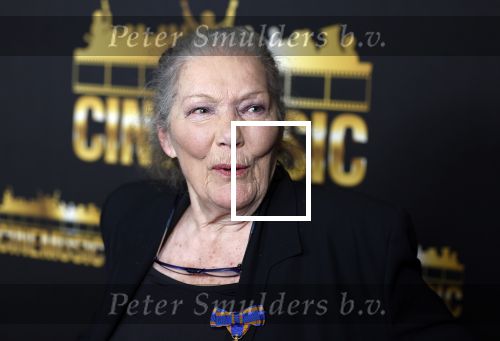 Zaandam 24 april 2026
Willeke v Ammelrooy heeft een koninklijke ondersceiding (linte) gekregen . Rene Mioch organiseert een fotomoment in het Zaantheater . Marco Bakker was er natuurlijk ook bij .