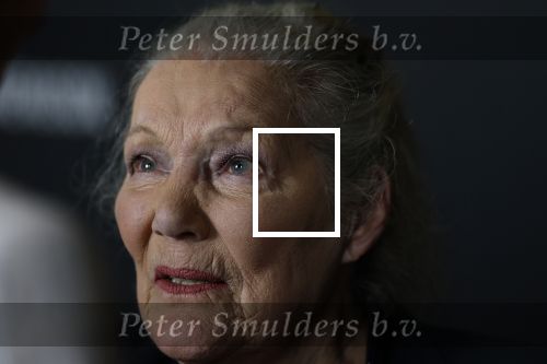 Zaandam 24 april 2026
Willeke v Ammelrooy heeft een koninklijke ondersceiding (linte) gekregen . Rene Mioch organiseert een fotomoment in het Zaantheater . Marco Bakker was er natuurlijk ook bij .