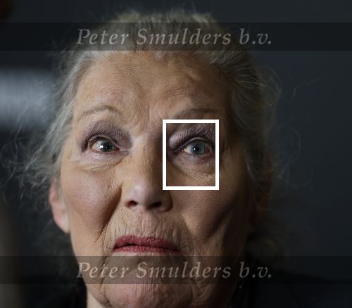 Zaandam 24 april 2026
Willeke v Ammelrooy heeft een koninklijke ondersceiding (linte) gekregen . Rene Mioch organiseert een fotomoment in het Zaantheater . Marco Bakker was er natuurlijk ook bij .