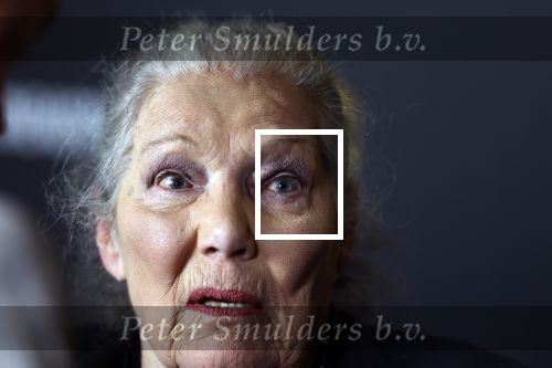 Zaandam 24 april 2026
Willeke v Ammelrooy heeft een koninklijke ondersceiding (linte) gekregen . Rene Mioch organiseert een fotomoment in het Zaantheater . Marco Bakker was er natuurlijk ook bij .