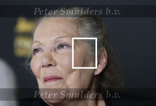Zaandam 24 april 2026
Willeke v Ammelrooy heeft een koninklijke ondersceiding (linte) gekregen . Rene Mioch organiseert een fotomoment in het Zaantheater . Marco Bakker was er natuurlijk ook bij .