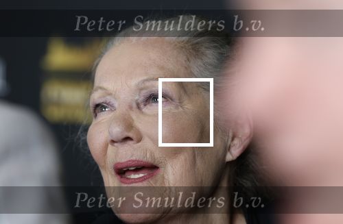Zaandam 24 april 2026
Willeke v Ammelrooy heeft een koninklijke ondersceiding (linte) gekregen . Rene Mioch organiseert een fotomoment in het Zaantheater . Marco Bakker was er natuurlijk ook bij .