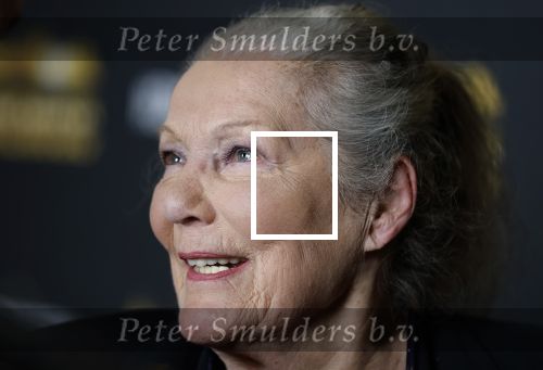 Zaandam 24 april 2026
Willeke v Ammelrooy heeft een koninklijke ondersceiding (linte) gekregen . Rene Mioch organiseert een fotomoment in het Zaantheater . Marco Bakker was er natuurlijk ook bij .