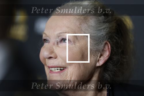 Zaandam 24 april 2026
Willeke v Ammelrooy heeft een koninklijke ondersceiding (linte) gekregen . Rene Mioch organiseert een fotomoment in het Zaantheater . Marco Bakker was er natuurlijk ook bij .
