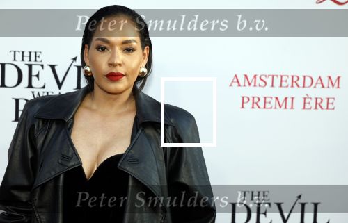 Amsterdam 28 april 2026
Premiere The Devil wears Prada 2 in Tuschinski . Winonah de Jong